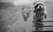 Фотография Лавровой Анны