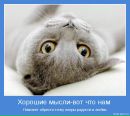 Фотография Кривсуна Александра