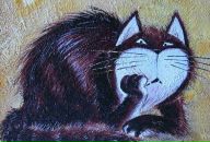 Фотография Быкова Андрея