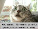 Катерина Тараторкіна фотография #41 (источник - https://vk.com/id29422595)
