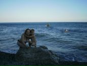 Фотография Ивановой Марии