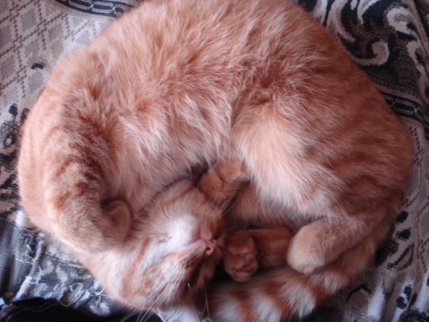 Максим Пышкин фото №45