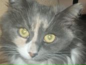 Фотография Сахаровой Вероники