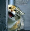 Марина Владова фотография #3 (источник - https://vk.com/id109726193)