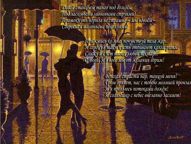 №16, Ольга Бабичева, Санкт-Петербург №16, Ольга Бабичева, Санкт-Петербург