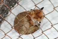 Фотография Макейченков Михаил