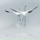 Фотография Масленковой Евгении