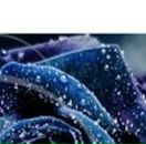 Наталі Котелянець фотография #37 (источник - https://vk.com/id77193697)