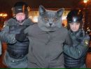 Фотография Сибилёвой Алёны