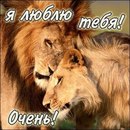 Юлія Гуралевич фотография #44 (источник - https://vk.com/id163449195)