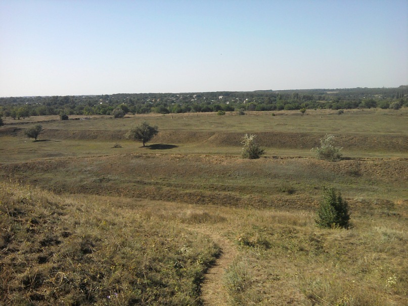 Сергей Олейник фотография #36