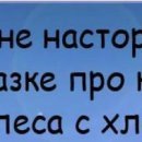 Ігор Матуляк фотография #6 (источник - https://vk.com/id147019783)