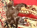 Таня Игнатева фотография #2 (источник - https://vk.com/id139889790)