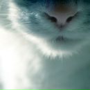 Фотография Самойловой Наташи