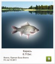 Діма Погребний фотография #32 (источник - https://vk.com/id136257164)
