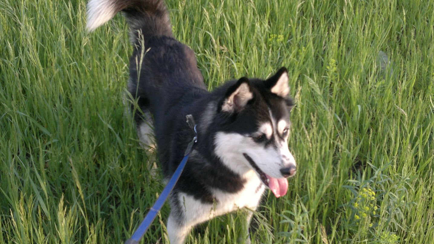 Денис Линник фотография #33