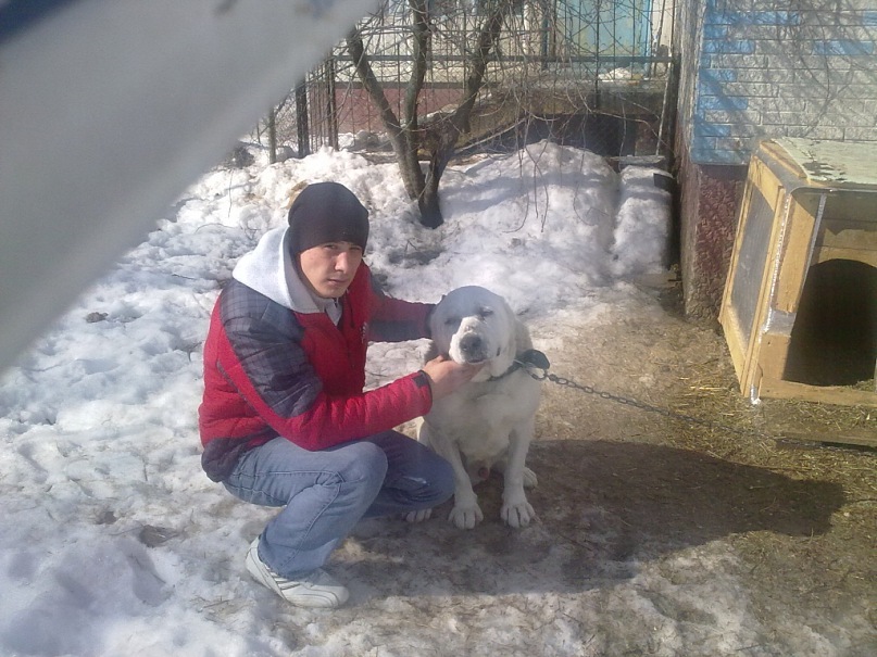 Андрей Гартвик фотография #29