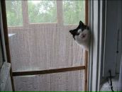 Фотография Азаровой Ирины