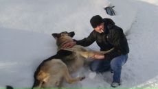 Фотография Курдюкова Светлана