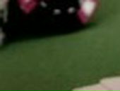 Денис Сучков фотография #47 (источник - https://vk.com/id11838495)