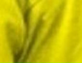 Наталія Наконечна фотография #45 (источник - https://vk.com/id79007133)