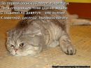 Фотография Игорек Воронов