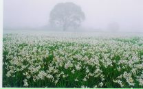 Іван Фурсик фотография #38 (источник - https://vk.com/id17488118)