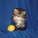 Ігор Дума фотография #4 (источник - https://vk.com/id112284708)