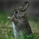 Фотография Николаевны Веры