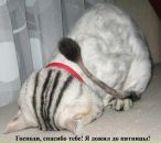 Фотография Марченко Надежды