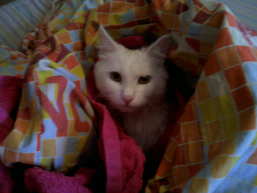 Илья Куриленко фотография #41