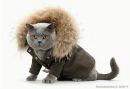 Фотография Сперанская Марина