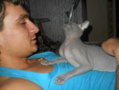 Олег Лаврінець фотография #35 (источник - https://vk.com/id19491263)