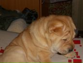 Фотография Тихомировой Анастасии