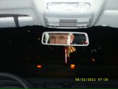 Фотография Хромых Михаила