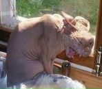 Фотография Крюкова Максима