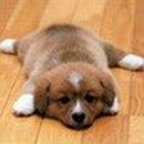 Фотография Гладкой Анастасии