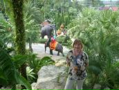 Фотография Матвеевой Аллы