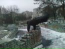 Андрік Тимосевич фотография #18 (источник - https://vk.com/id136290573)