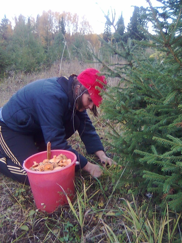 Сергей Башков фотография #35