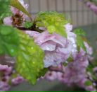 Сергій Гурінчук фотография #14 (источник - https://vk.com/id12433093)