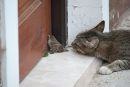 Андрій Скорик фотография #12 (источник - https://vk.com/id137095426)