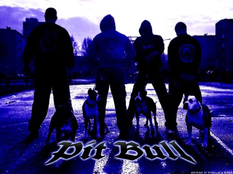 Данил Бойко фотография #7