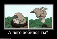 Сергій Галагуз фотография #44 (источник - https://vk.com/id10181139)