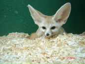 Фотография Бабюк Яны