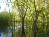 Володимир Корнійчук фотография #24 (источник - https://vk.com/id119763794)