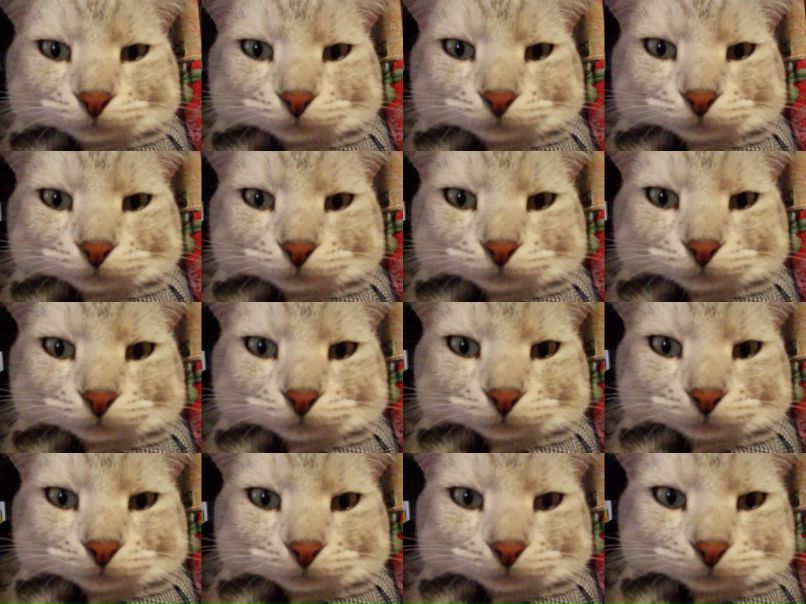 Сергей Сидоренко фотография #10