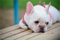 Фотография Наташки Натали