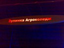 Вадим Литвиненко фотография #35 (источник - https://vk.com/id155074837)
