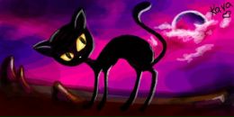 Фотография Думкиной Ани